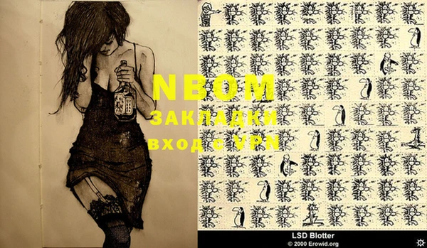 соль ск Гусиноозёрск